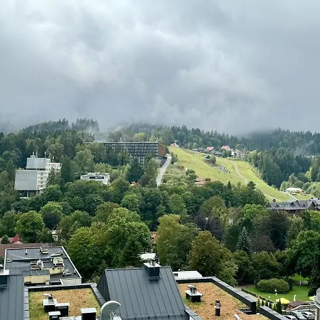 Family & Friends Art Piekny Widok Z Garazem * Krynica Zdroj