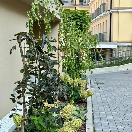 Apartment Family & Friends Art Piekny Widok Z Garazem Krynica Zdroj